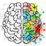 Plasticidad cerebral