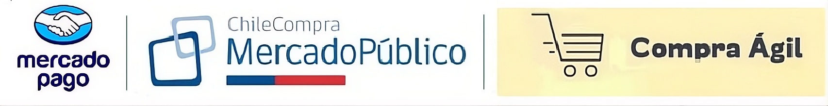 Despachamos a todo Chile- Compra a través de Mercado Public, Compra Agil y con Mercado de pago-factorludico.cl